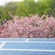 Vergeet subsidie-ellende, zonnepanelen leveren gewoon winst op