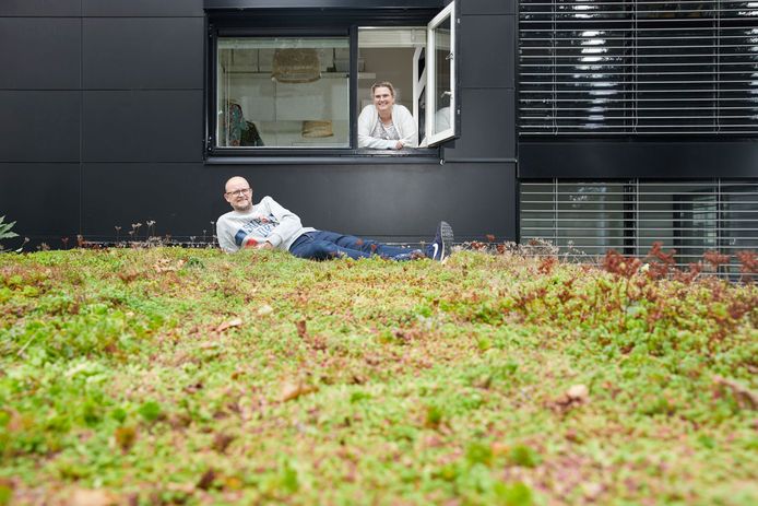 Interpolis Groene Daken