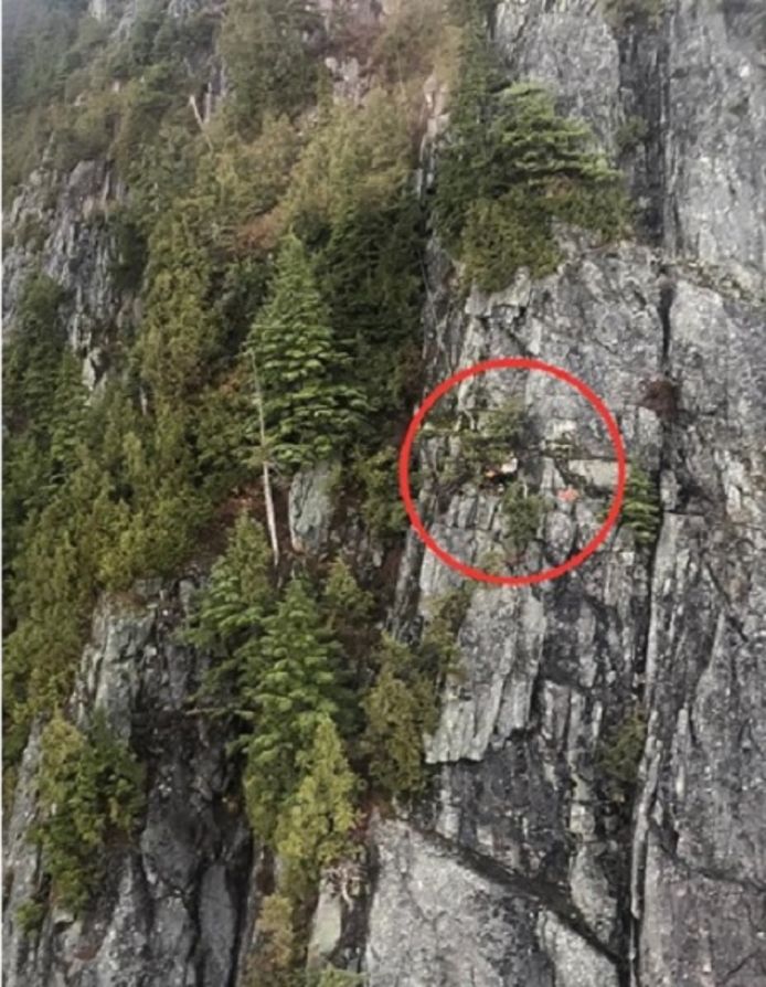 Michael Buckingham belandde op de rand van een steile klif in Canada en dacht dat zijn laatste uur was geslagen.
