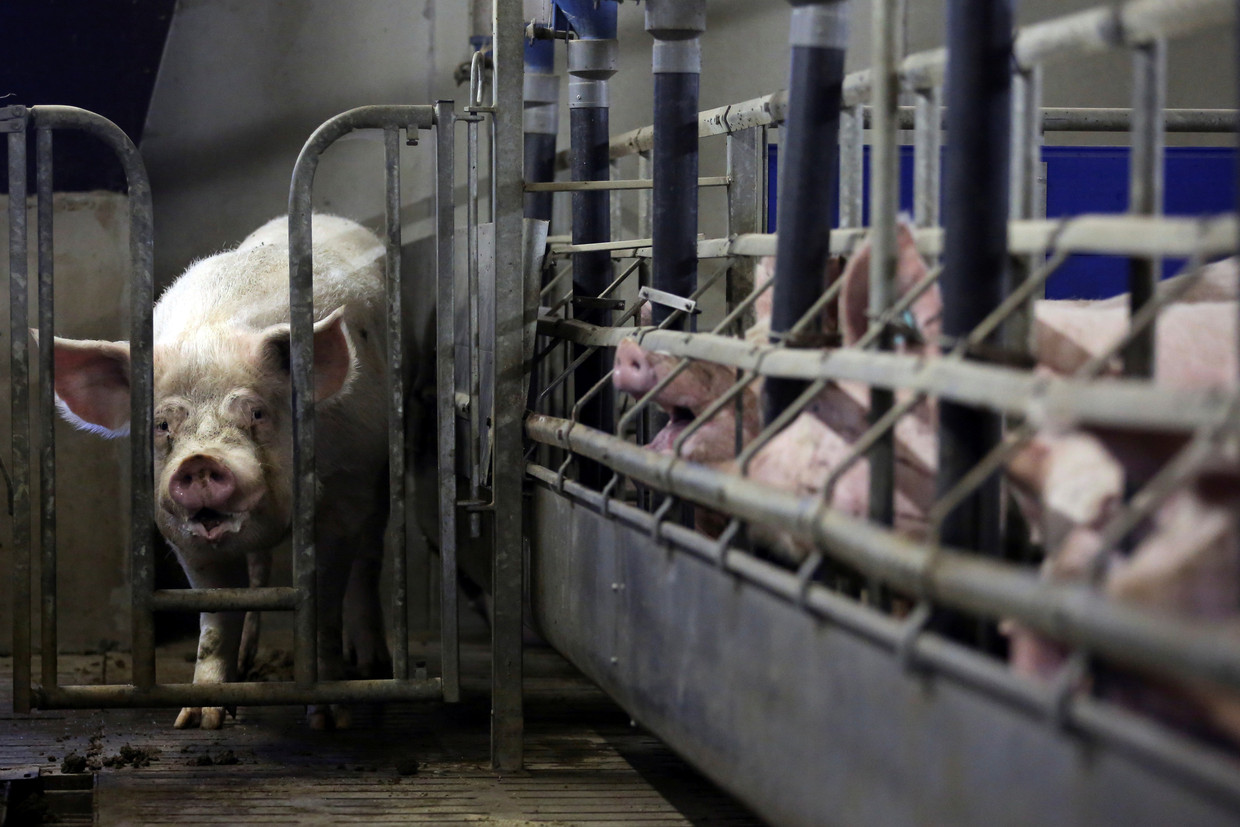 null Beeld REUTERS