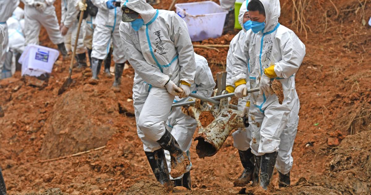 Sebagian besar korban kecelakaan pesawat China telah diidentifikasi  Luar negeri