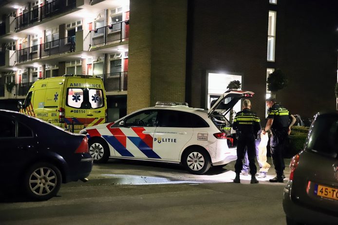 Hulpdiensten en politie bij de flat aan de Liendenlaan in Tiel na de steekpartij, archieffoto ter illustratie