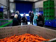 De deuren van die saaie fabriekshal gaan open: volop bedrijvigheid en boeiende processen bij de Open Bedrijvendag Helmond en De Peel