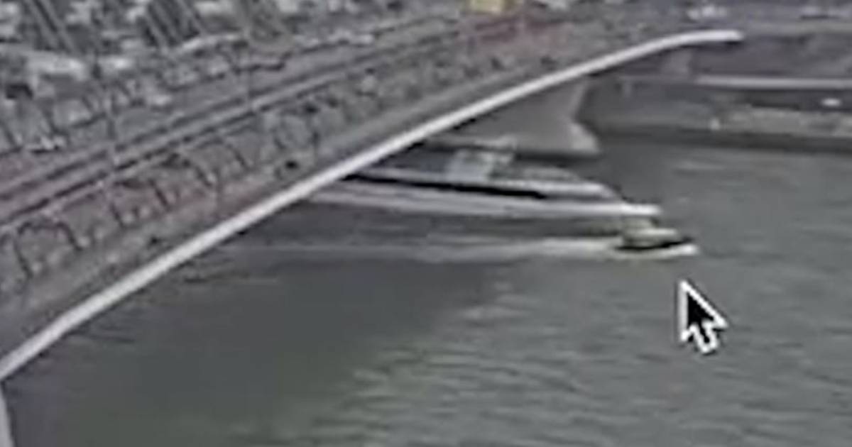 Scontro tra battello turistico e taxi acqueo all’Erasmus Bridge di Rotterdam: tutti i passeggeri rimossi dall’acqua |  Notizie Instagram VTM