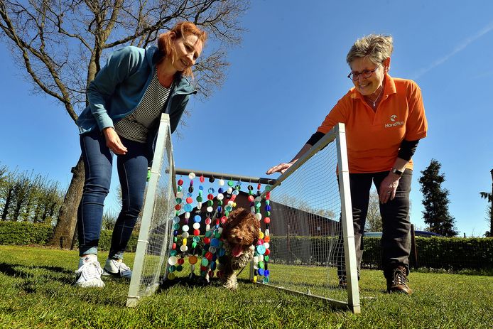 Bij HondPlus aan de Rietgoorsestraat in Roosendaal. Hond Moos, baasje Kristel en juf Sandra.