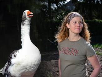 Foie gras is een sjieke naam voor een lever die door een zeer dieronvriendelijke methode is gegroeid