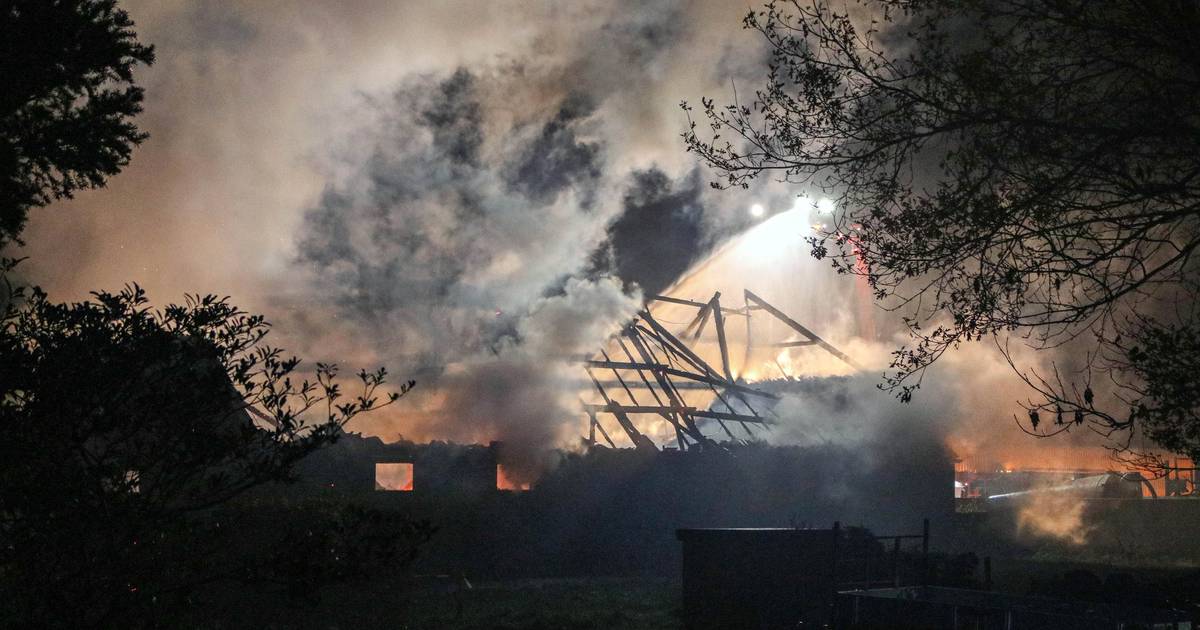 Zeventig lammetjes sterven in vuurzee