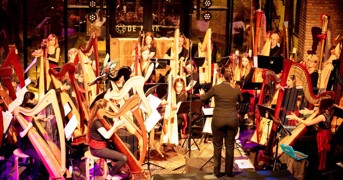Familievoorstelling ‘De Notenkrakers’ in Oostelbeers gearrangeerd voor harpen