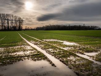 Ook de komende dagen blijft het wisselend bewolkt met kans op buien