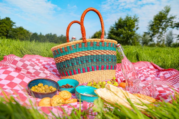 Kom picknicken op het grootste picknickkleed van Rotterdam | Rotterdam ...