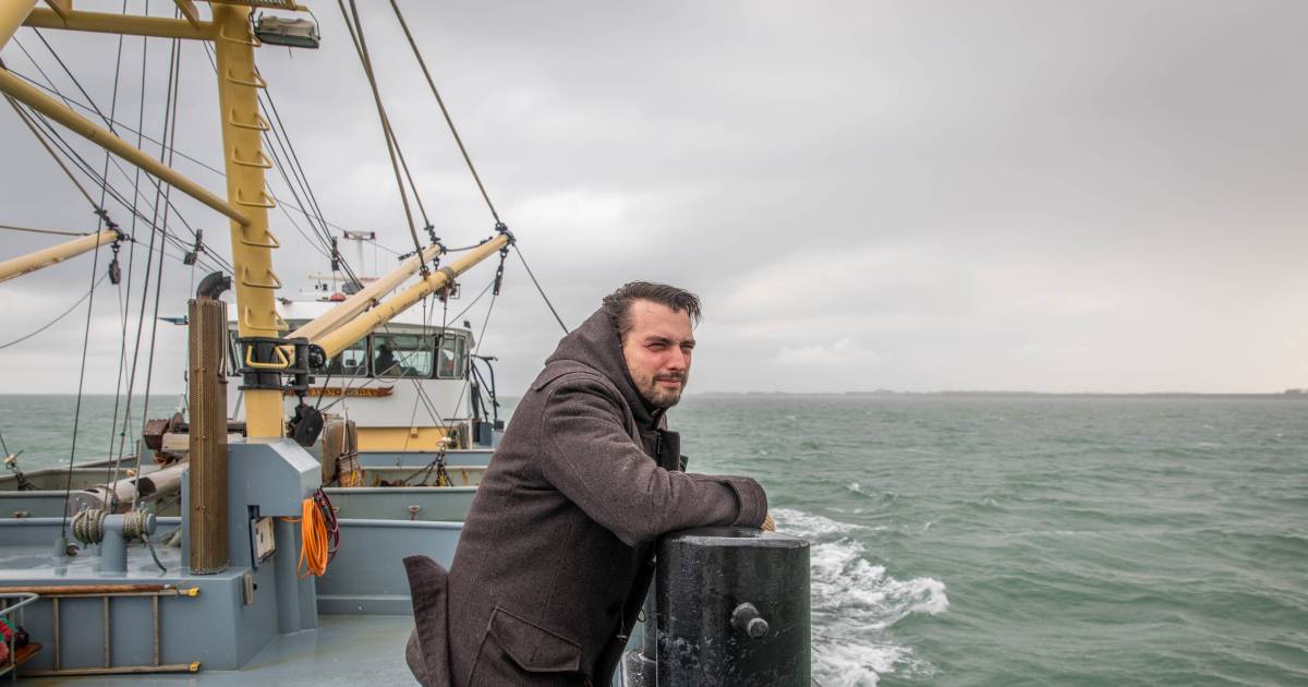 Thierry Baudet (FvD): Windparken op zee zijn weerzinwekkend, het zijn massagraven voor vogels en ...