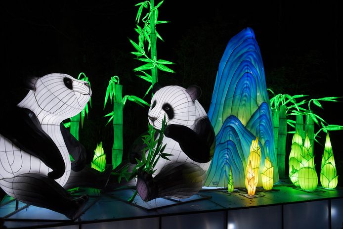 De bekende panda's van Ouwehands Dierenpark hebben ook een lichtinstallatie op het China Light Festival.
