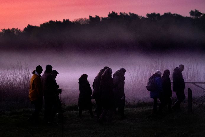 De vroegevogelwandeling van IVN Son en Breugel is traditioneel op Koningsdag. Deelnemers duiken met gespitste oren natuurgebied Mosbulten in om te luisteren naar een concert van gefluit en getwiet.