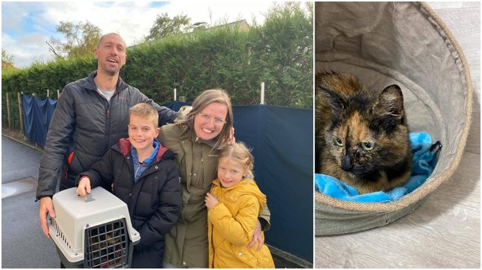 Het gezin van Koen Zoetaert en Sabrine Geldhof uit Stene bij Oostende, met kinderen Tijn (9) en Loor (7), zijn na twee jaar opnieuw verenigd met hun geliefde kat Grumpy.