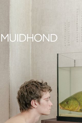 Muidhond