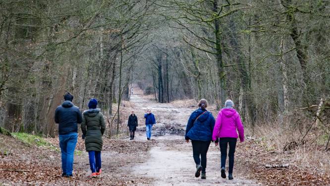 Voorjaarswandeling met AVGM Best in Waalre
