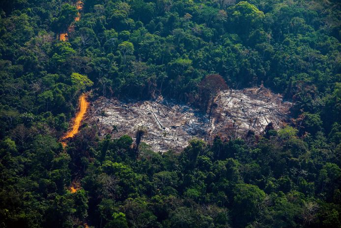 Ontbossing van het Amazonewoud in Brazilië.