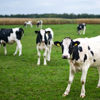 Deal over stikstof, maar het is de vraag of die houdbaar is