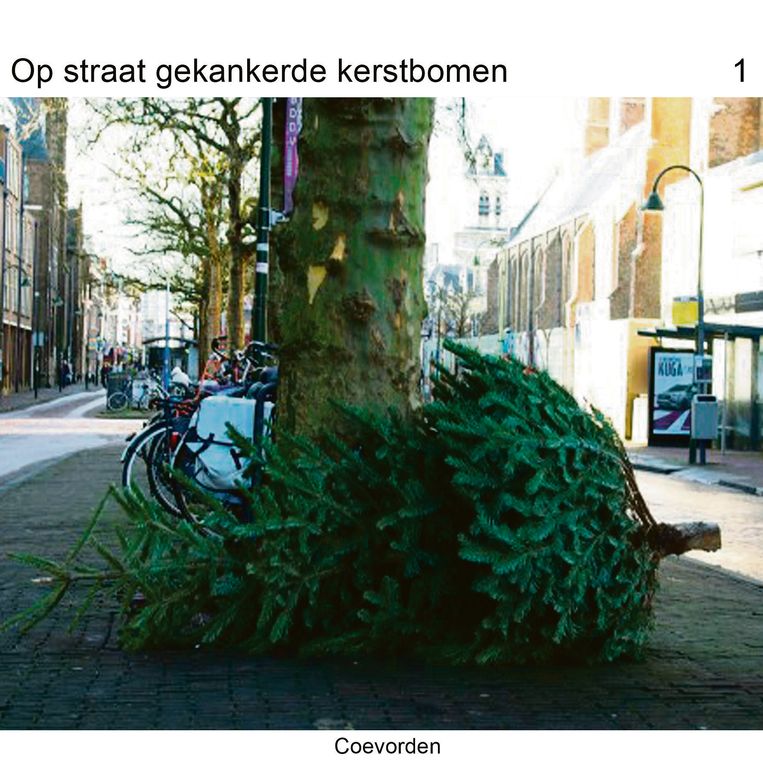 null Beeld Gummbah