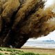 Ontploffing vliegtuigbom op strand Wassenaar