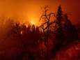 Enorme bosbrand in Californië eist eerste slachtoffers