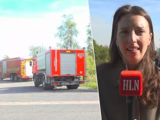 LIVEBLOG. Enorme natuurbrand in Hoge Venen waarschijnlijk ontstaan “door menselijk toedoen”