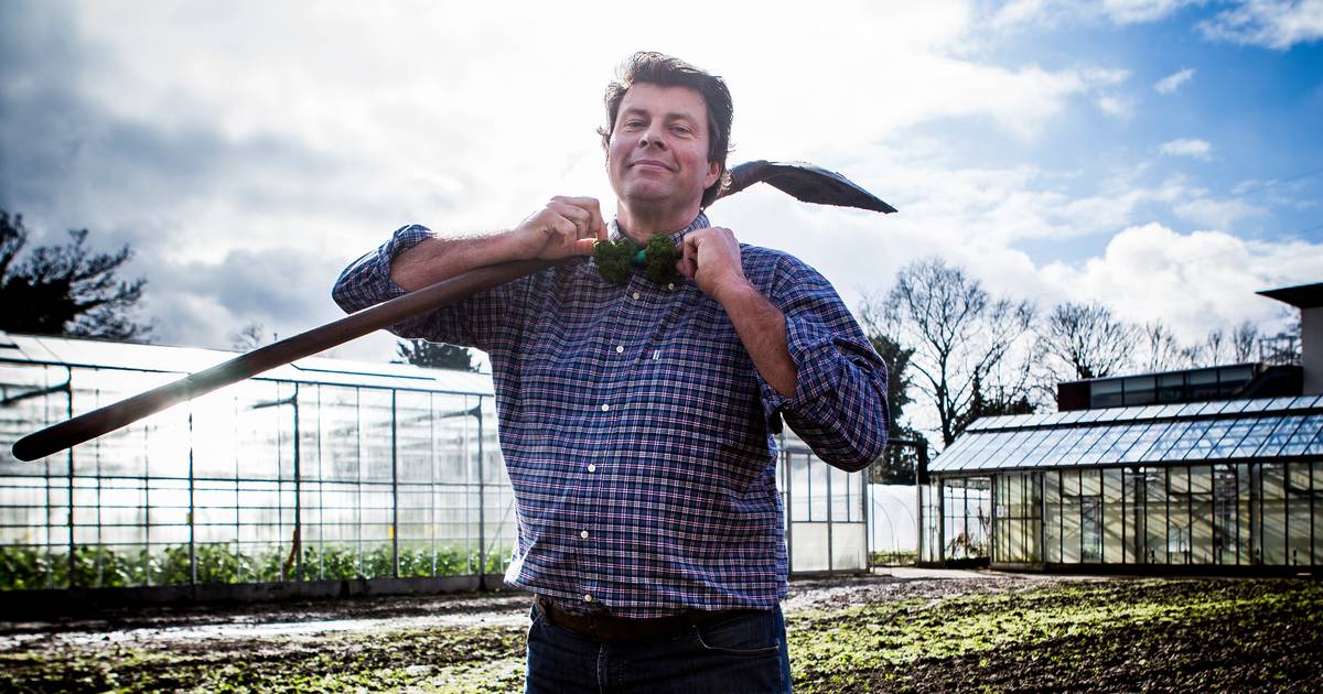 Start To Moestuin Met Wim Lybaert Met Deze Zaadjes Kan Het Niet Mislukken Tenzij Je Echt Keihard Je Best Doet Binnenland Hln Be