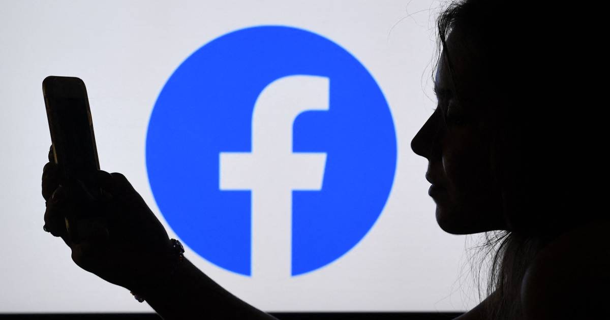 Facebook panne primaten