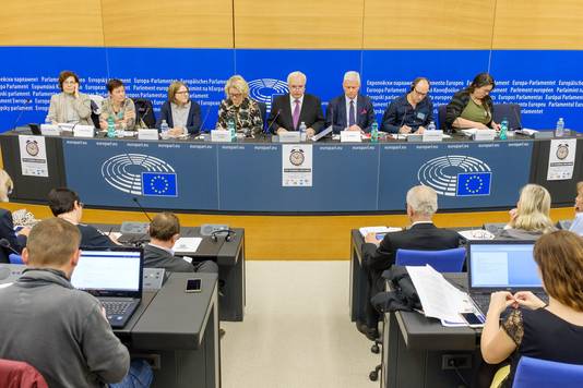 Van links naar rechts: Eleonore Gabarain (Franse activiste), Ann Ceusters (Belgische vereniging tegen het Zomeruur), Heidi Hautala (Fins Europarlementslid), Miapetra Kumpula-Natri, Pavel Svoboda (Tsjechisch Europarlementslid), Andrzej Grzyb (Pools Europarlementslid), Alain Philippoff ( Franse activist), Anouk Verhaaff (Nederlandse activiste).