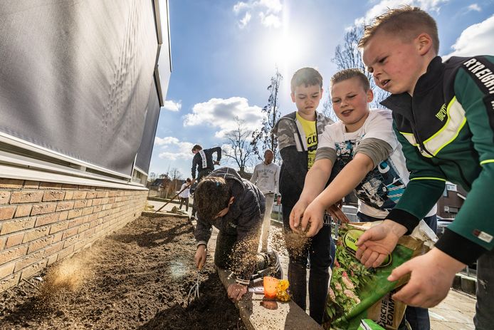 Kinderen van OBS De Vlieten in De Lier aan de slag met de Rijk Zwaan zadenpakketten. Ze aaien de eerste zaadjes in de schoolmoestuin.