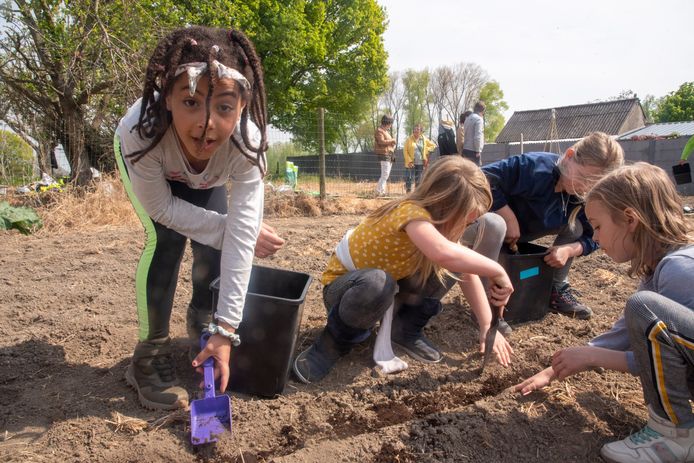 De leerlingen van De Meander planten zelf hun groenten aan.