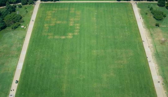 Wordt president Trump bedreigd? Plots duiken mysterieuze cijfers ‘8647’ op grasveld nabij Witte Huis op