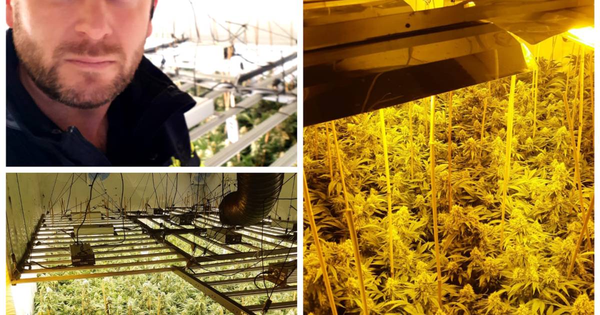 Hennepkwekerij opgerold in Soest na anonieme tip