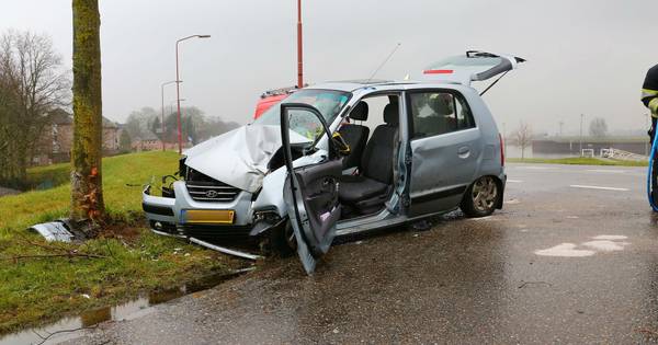 Man verliest macht over stuur en knalt tegen boom in Lith - BD.nl