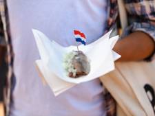Haring is gezond, maar dit maakt dat je er niet té veel van moet eten