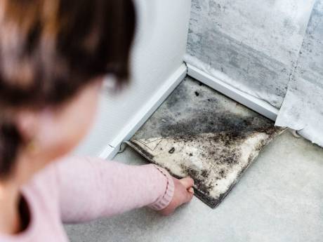 Na een jaar klagen over schimmels en lekkage, betaalt woningcorporatie alsnog de schade: ‘We zijn zó blij’