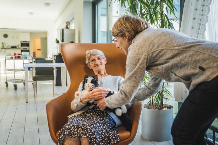 Gents rusthuis heeft cavia, konijn en... twee robotkatten: “Ze spinnen ...