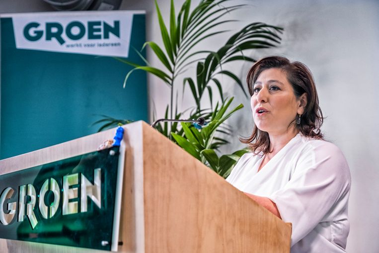 Meyrem Almaci (46) stopt binnenkort als voorzitter van Groen. Almaci stond sinds 2014 aan het hoofd van de partij. Beeld Tim Dirven