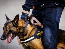 Agent door eigen politiehond in arm gebeten bij arrestatie van inbreker