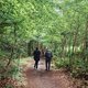Van stammen en bomen, en Amerikaanse soldaten: Annelies Verbeke loopt door het Lippelobos