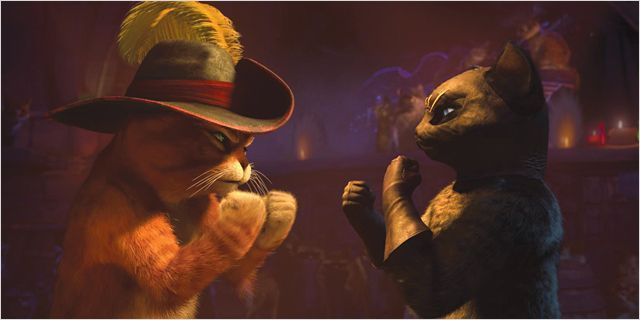 Comment Ne Pas Craquer Pour Le Chat Potte Cinema 7sur7 Be
