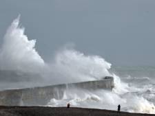 Winterstorm Bella bereikt op zee windkracht 10 en zorgt voor veel omgevallen bomen