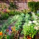 Tuinspiritualiteit: onze verhouding tot de tuin leert ons iets over onze diepste zielenroerselen