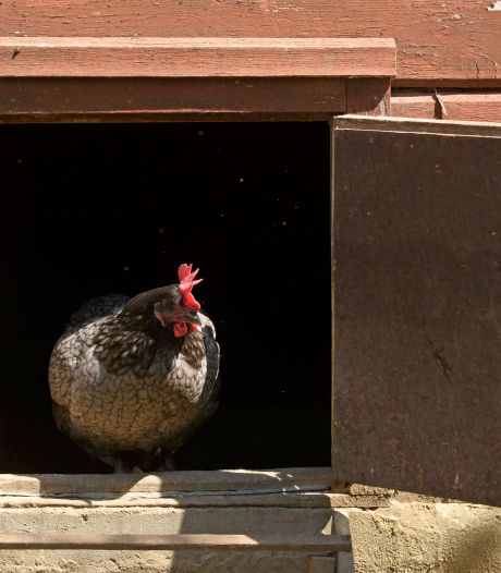 Trois fermes de la région de Charleroi ont été labellisées par la Région Wallonne