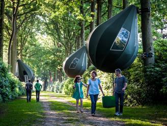 Op zoek naar een leuke overnachtingsplaats deze zomer? De boompitten in Gooreind zijn er weer