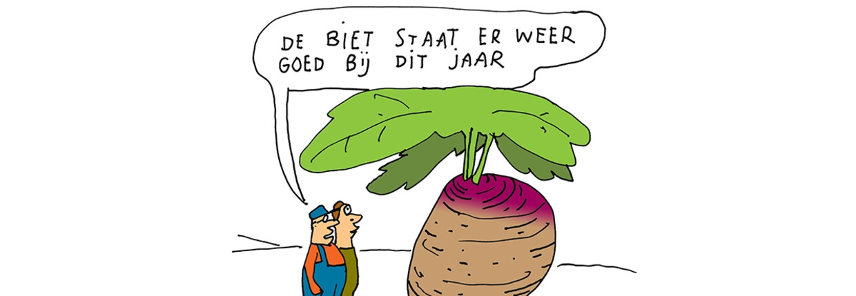 null Beeld 