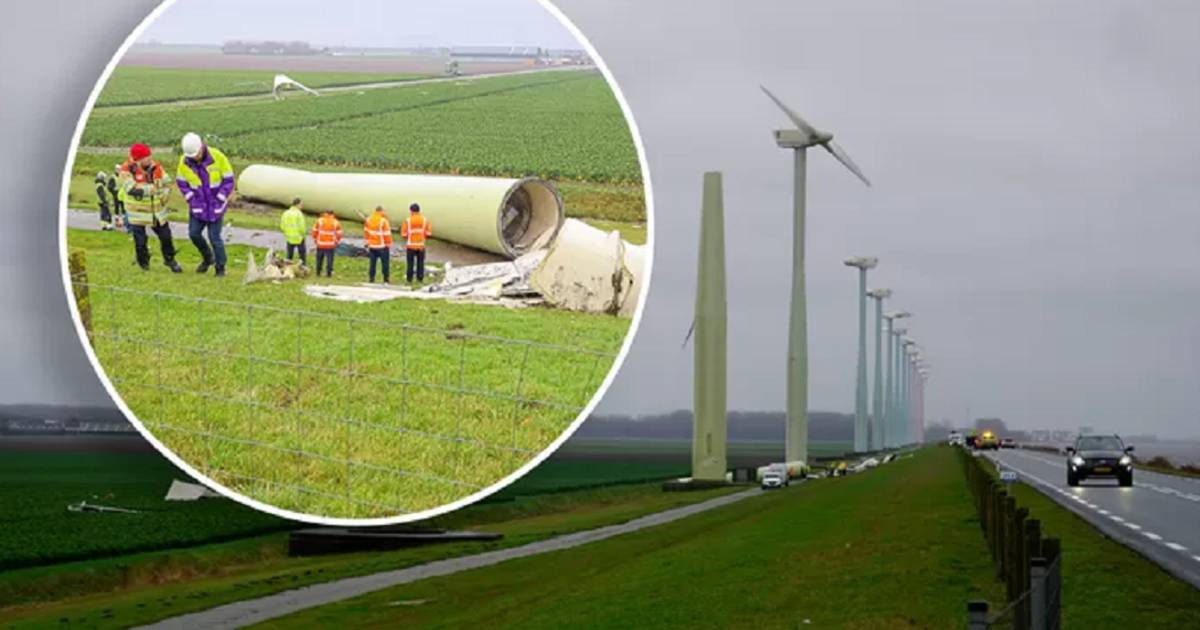 Il mulino a vento in Olanda si spacca in due: “Dovrebbe essere per il forte vento” |  all’estero