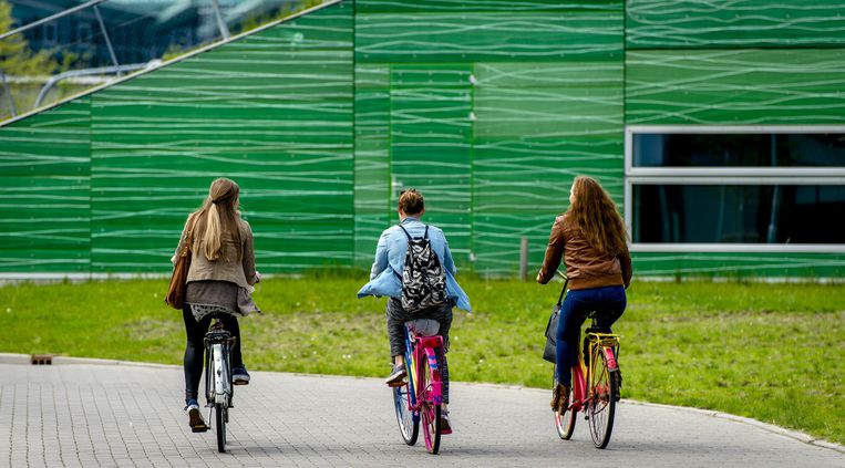 Studenten fietsen naar het Zernike-complex. Beeld anp