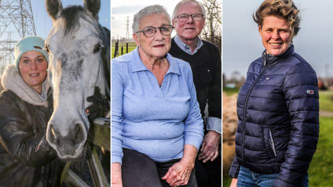 REPORTAGE. D-day voor Ventilus, maar is wonen onder hoogspanning zo gevaarlijk? “Schrik heb ik niet, maar ik slaap wel al 15 jaar in een andere slaapkamer achteraan het huis”