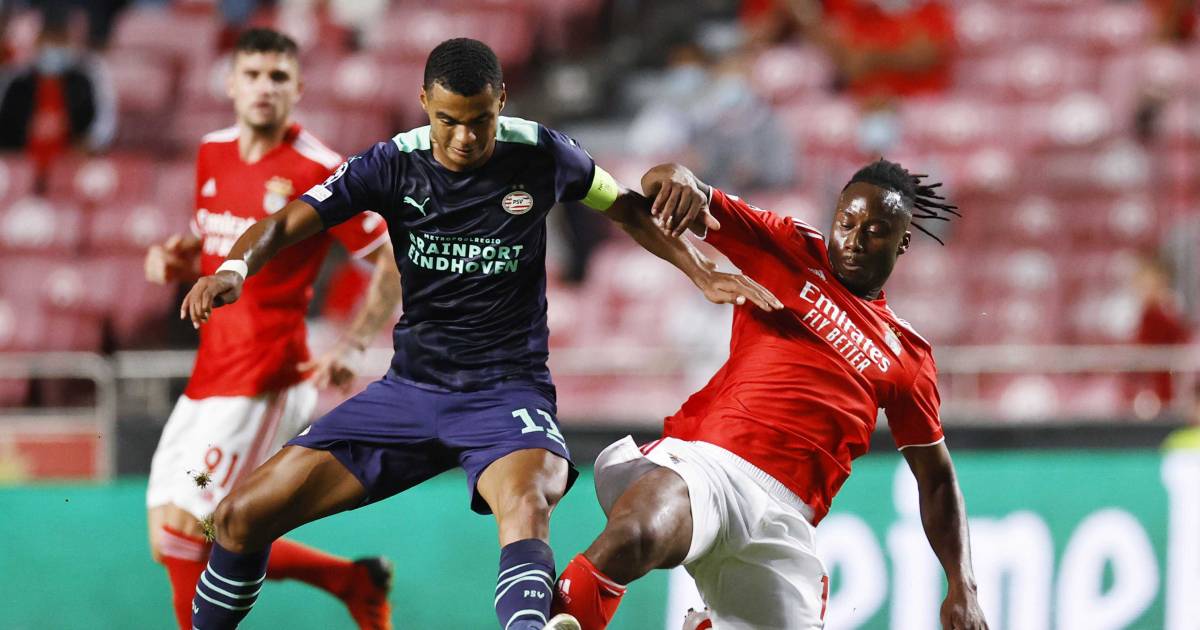Gakpo na 'onnodige nederlaag' bij Benfica: 'Thuis moeten ...